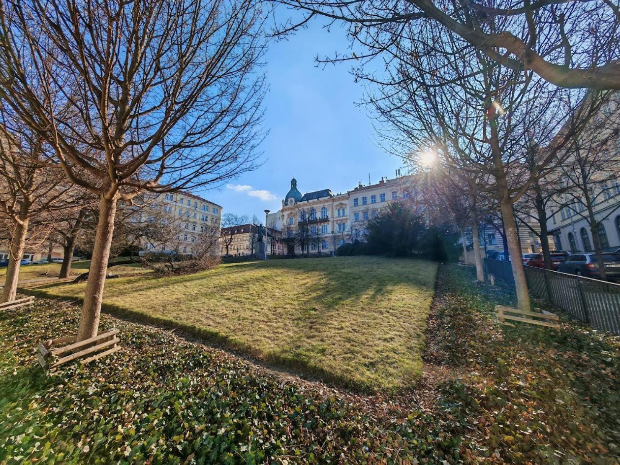Apartment Flat In Zizkov With Free Underground Parking -501- Prag