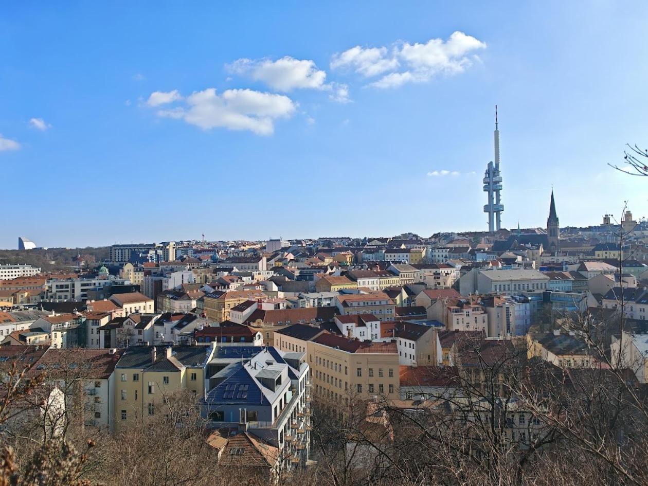 Flat In Zizkov With Free Underground Parking -501- Prag